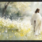 Life Anew