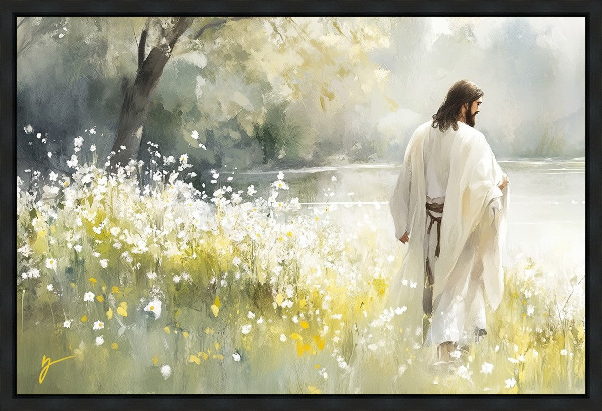 Life Anew