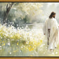 Life Anew