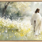 Life Anew
