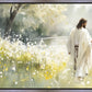 Life Anew