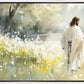Life Anew