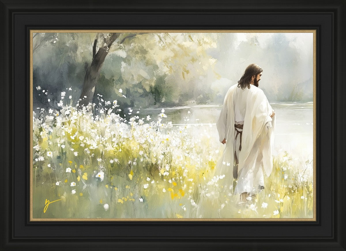 Life Anew