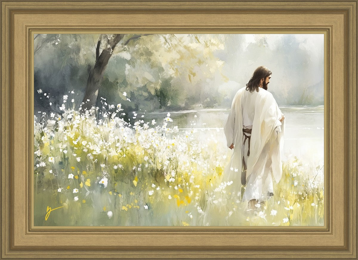Life Anew