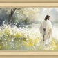 Life Anew