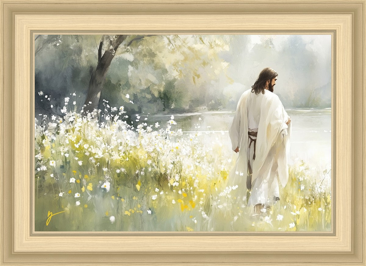 Life Anew