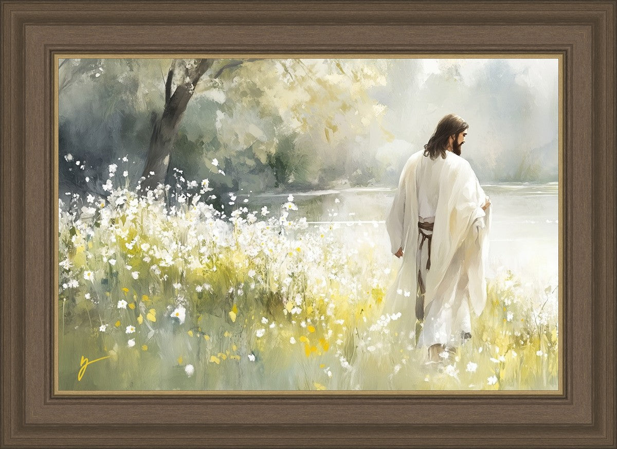 Life Anew