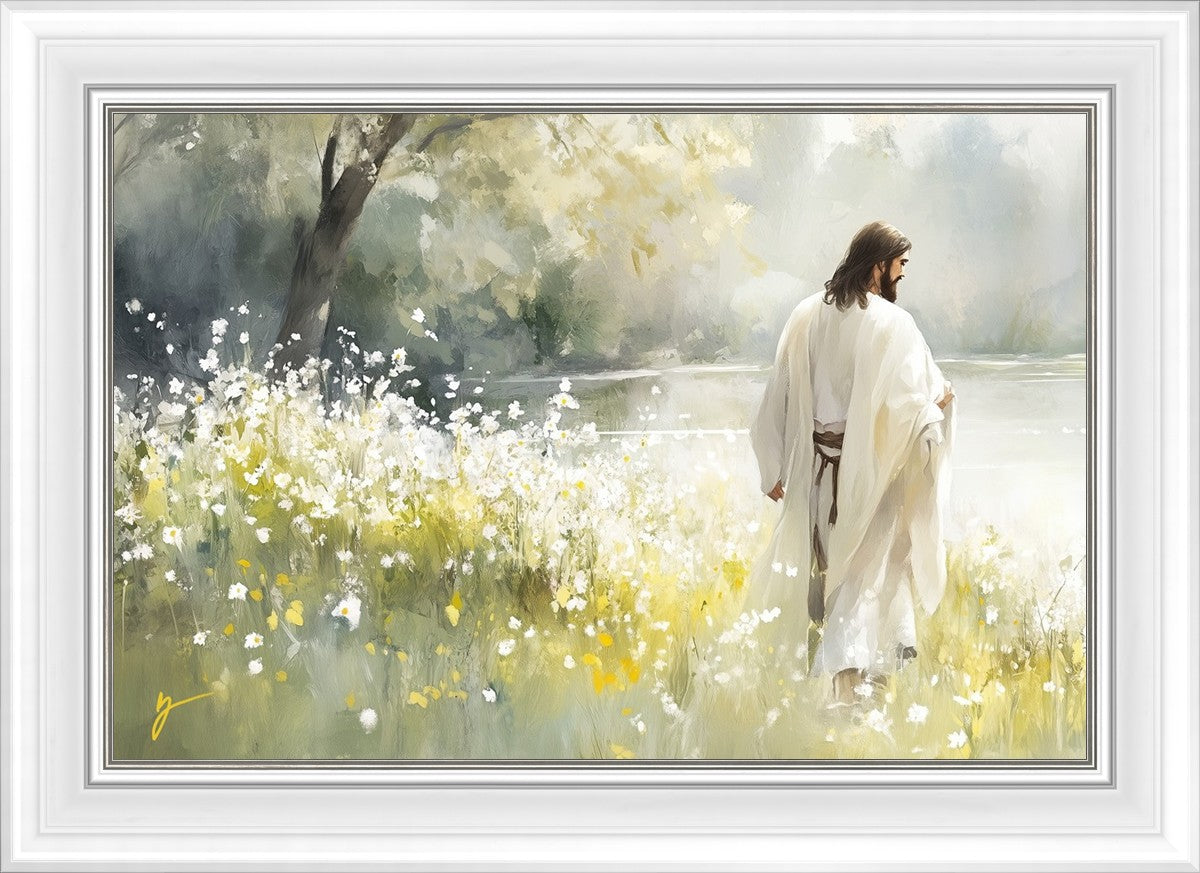 Life Anew