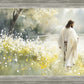 Life Anew