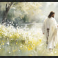 Life Anew