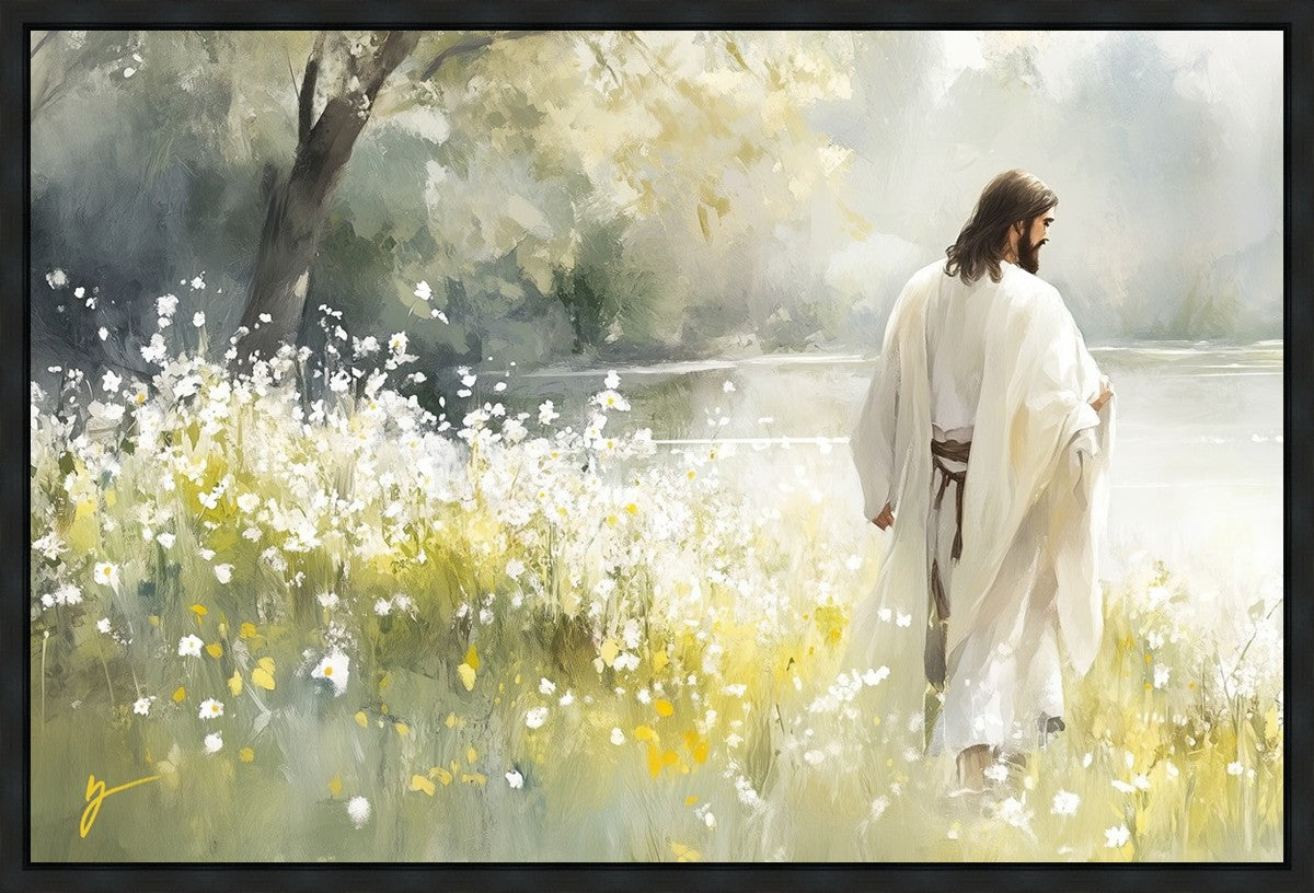 Life Anew