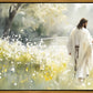 Life Anew