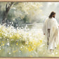 Life Anew