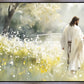 Life Anew