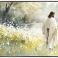 Life Anew