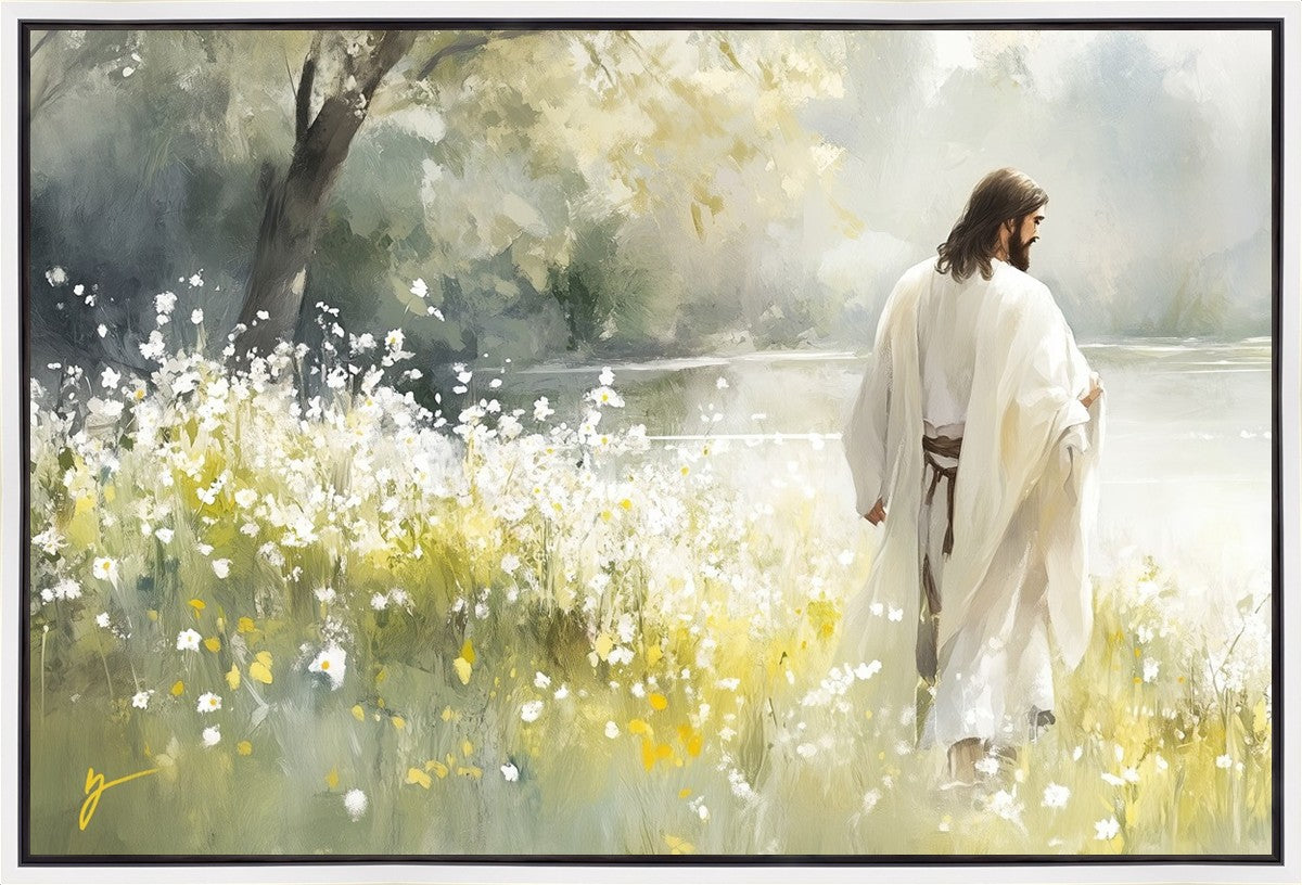 Life Anew