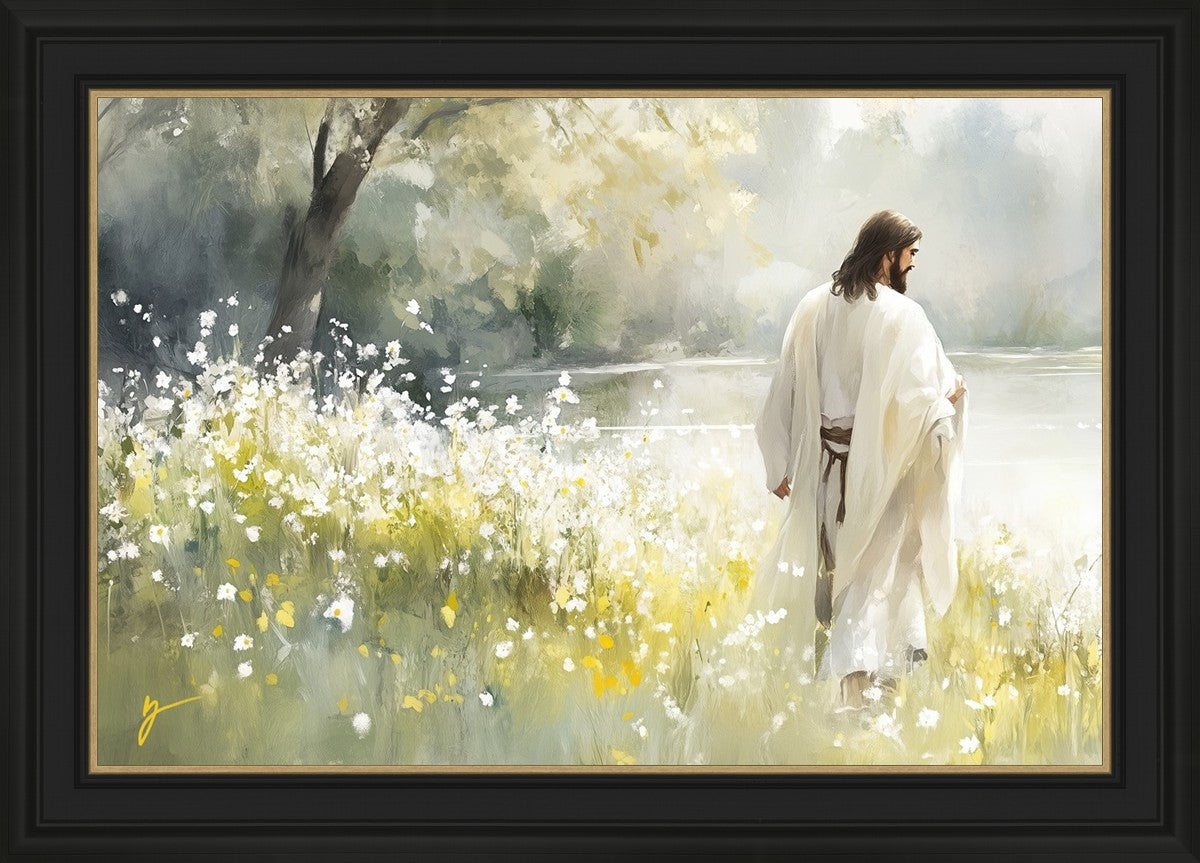 Life Anew