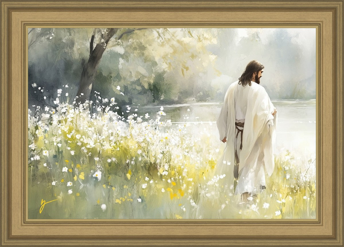 Life Anew