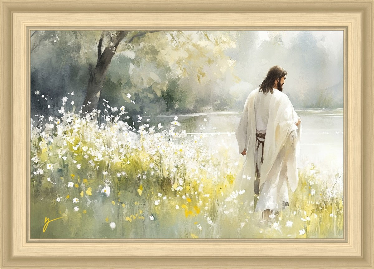 Life Anew