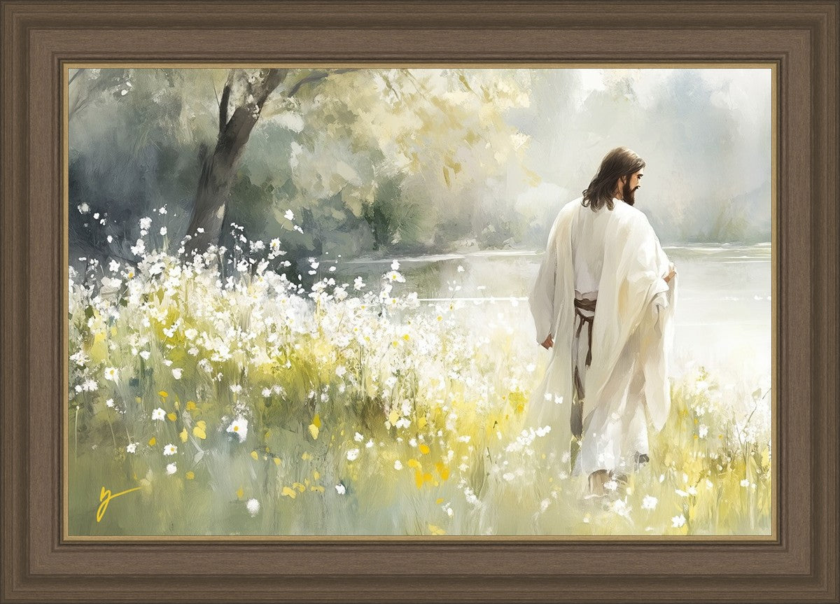 Life Anew