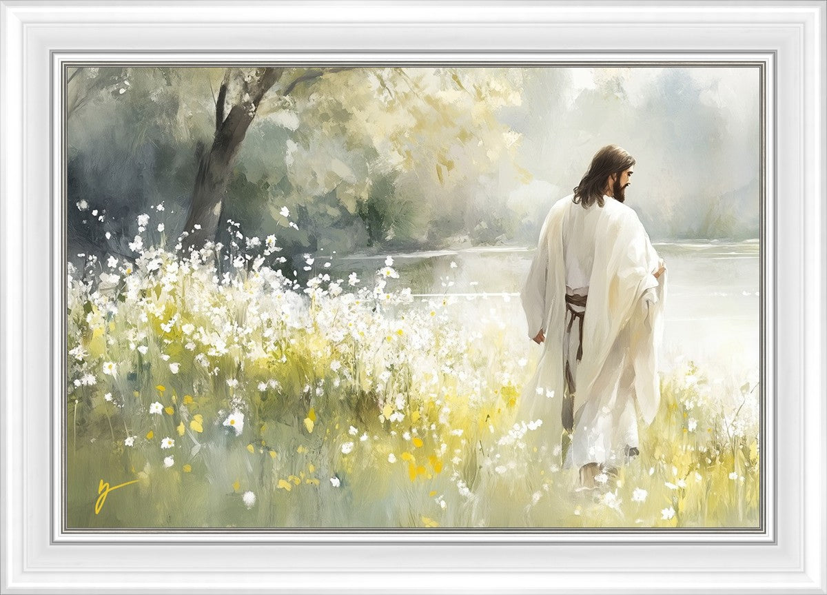 Life Anew