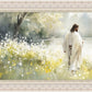 Life Anew
