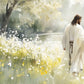 Life Anew