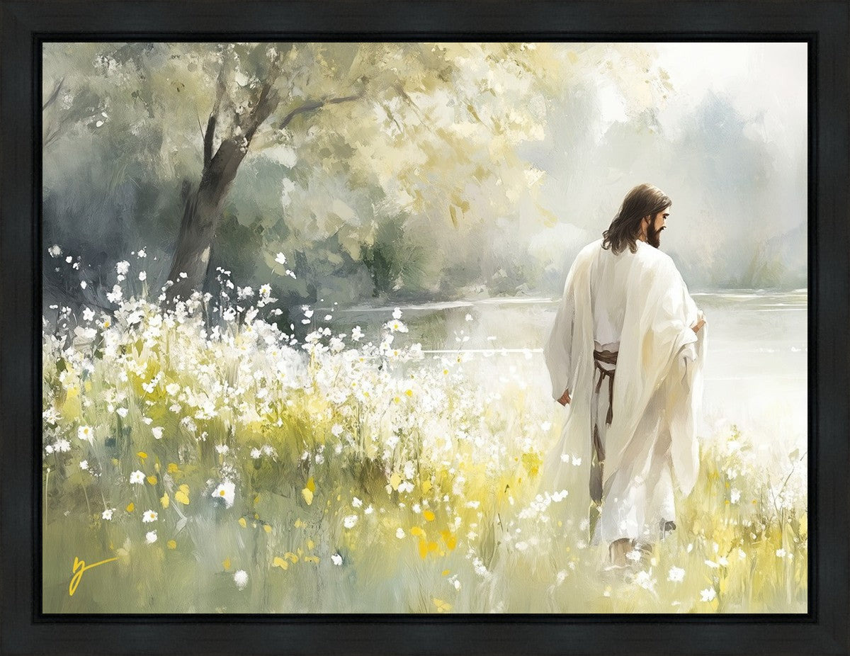 Life Anew