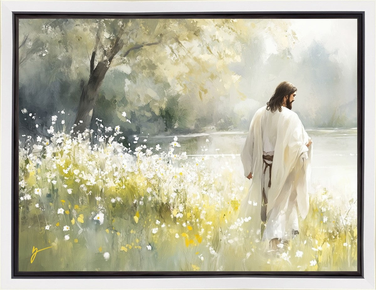 Life Anew