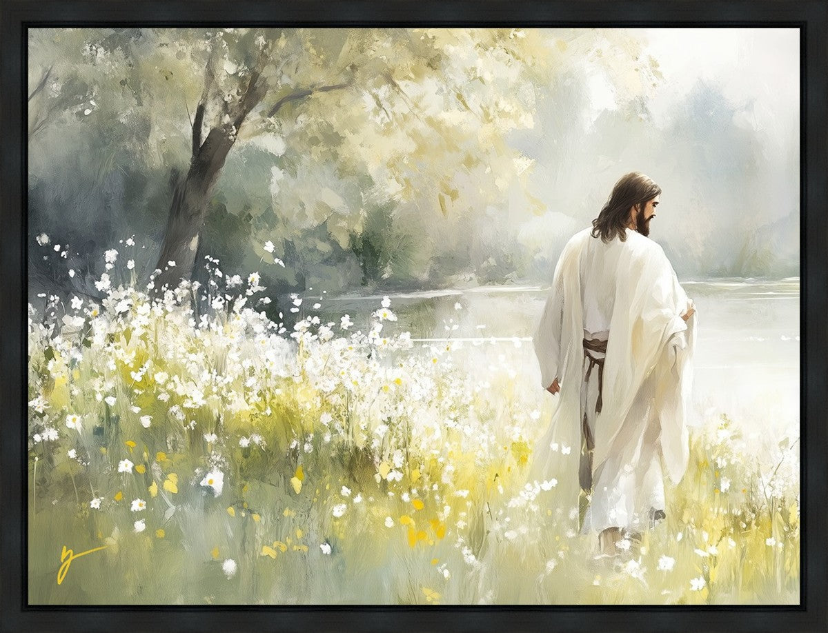 Life Anew