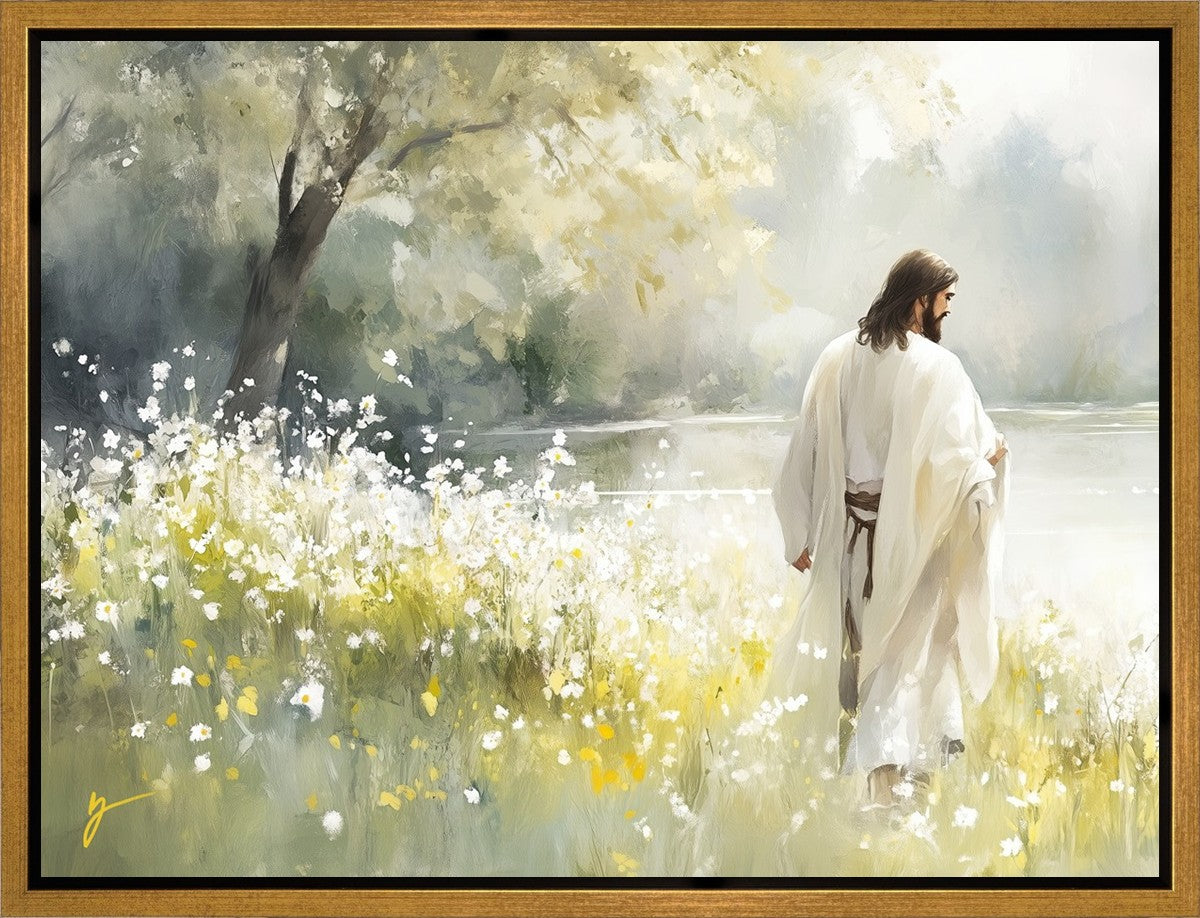 Life Anew