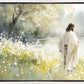 Life Anew