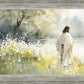 Life Anew