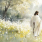 Life Anew