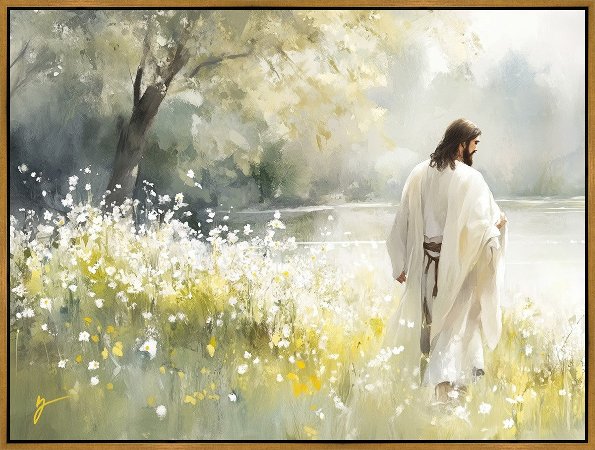 Life Anew