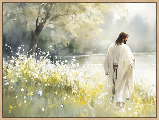 Life Anew