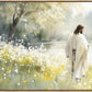 Life Anew