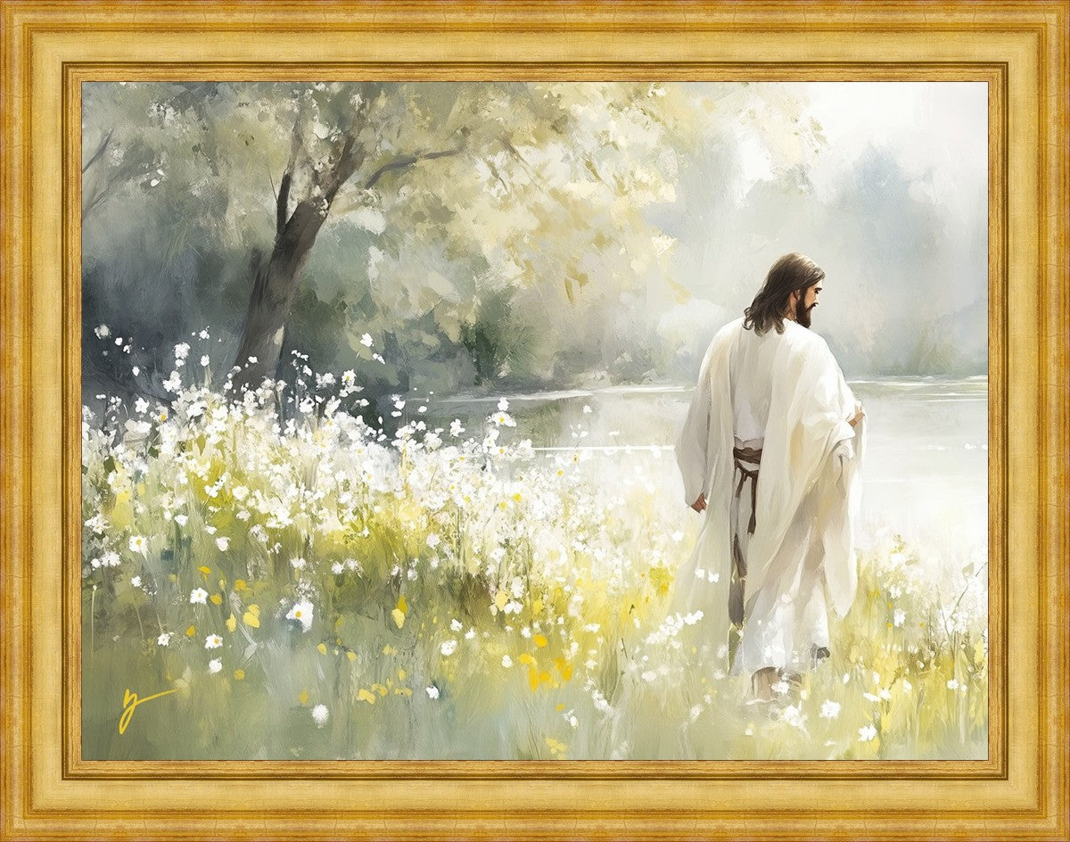 Life Anew