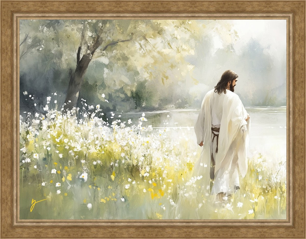 Life Anew