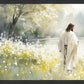 Life Anew