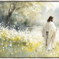 Life Anew
