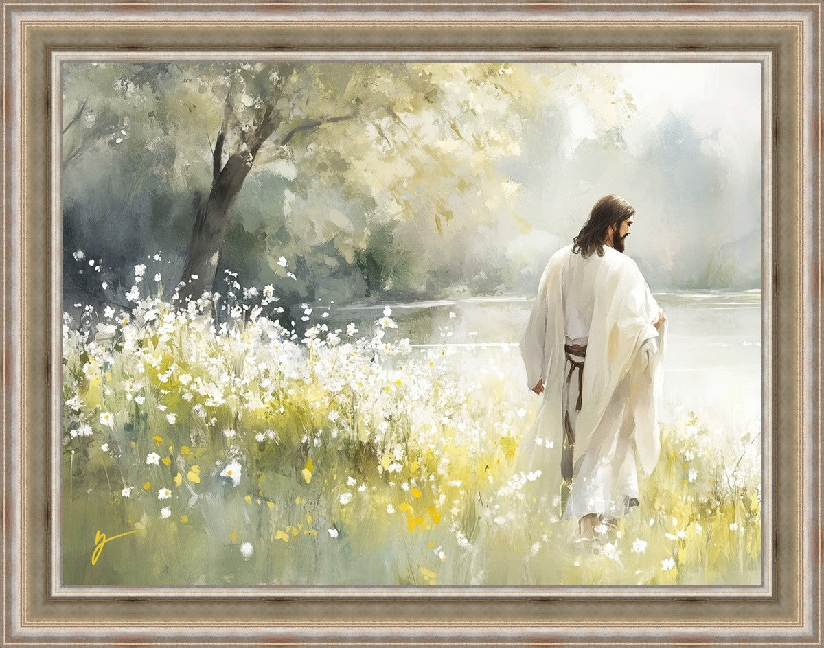 Life Anew