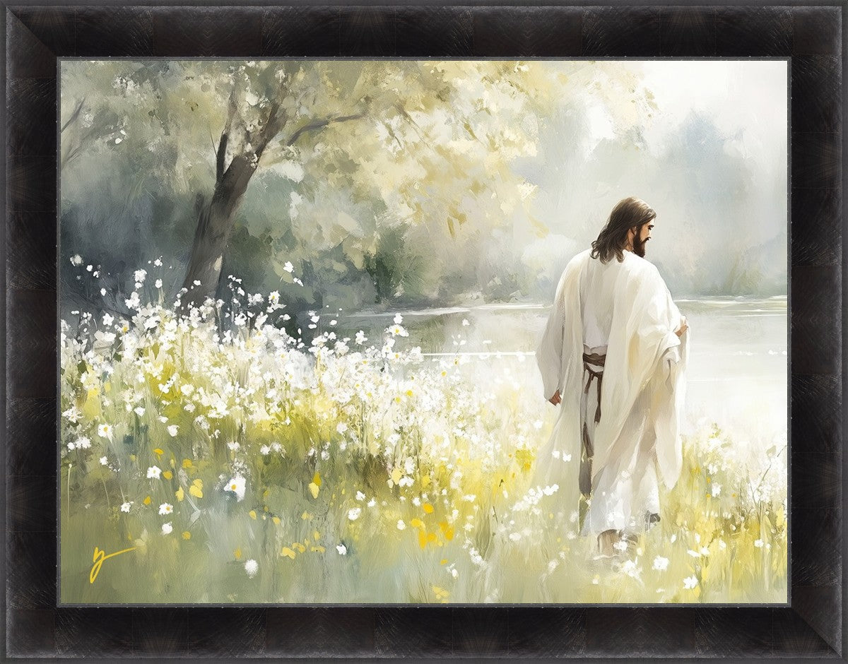 Life Anew