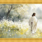 Life Anew