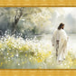 Life Anew