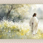 Life Anew