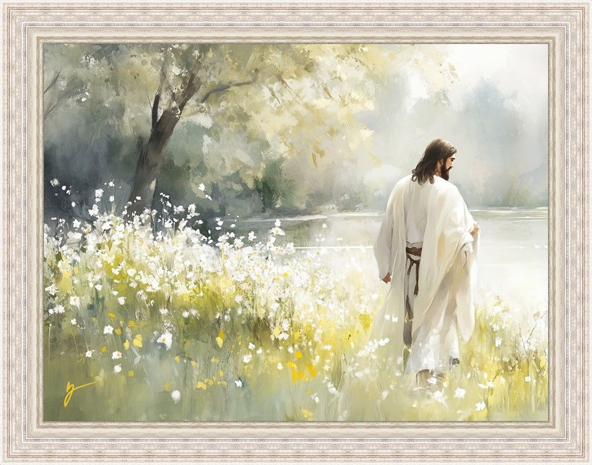 Life Anew