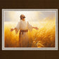 Send Forth Laborers