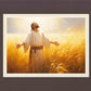 Send Forth Laborers