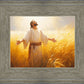 Send Forth Laborers